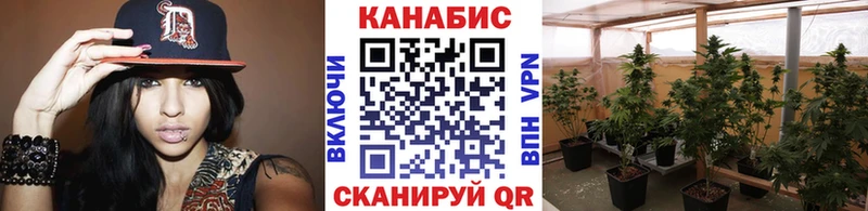 Бошки Шишки ГИДРОПОН  где купить наркотик  Чухлома 